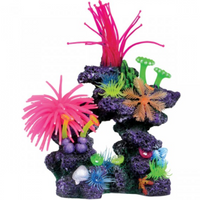 Underwater Treasures Caribbean Cave Reef