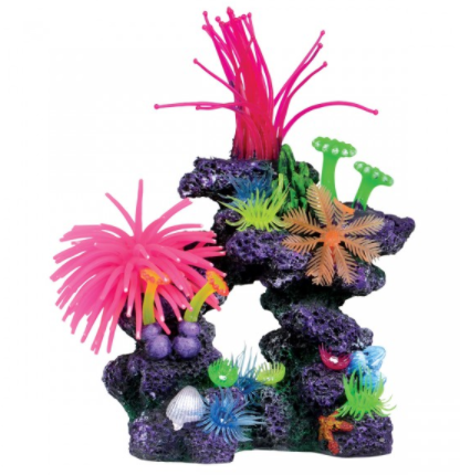 Underwater Treasures Caribbean Cave Reef