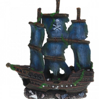 Underwater Treasures Pirate Ship