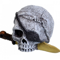 Underwater Treasures Pirate Skull
