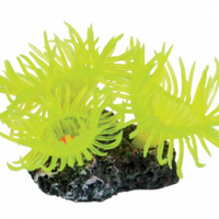 Underwater Treasures Mini Sun Polyp