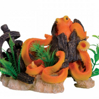 Underwater Treasures Octopus Shipwreck