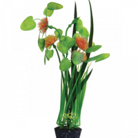 Underwater Treasures Pom Pom Lily - Orange - 12"
