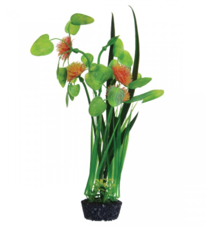 Underwater Treasures Pom Pom Lily - Orange - 12
