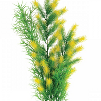 Underwater Treasures Morning Sun Fern - 20"