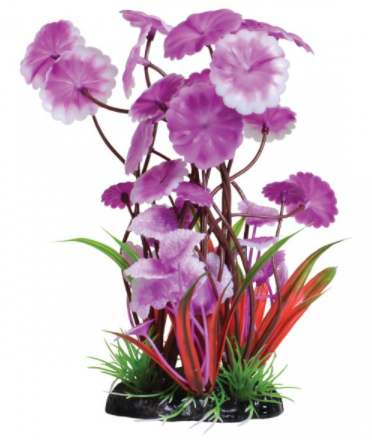 Underwater Treasures Fuscia Love Lily - 8