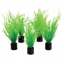 Underwater Treasures Mini Plant - Bog Grass - 3" - 5 pk