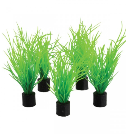 Underwater Treasures Mini Plant - Bog Grass - 3