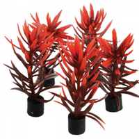 Underwater Treasures Mini Plant - Red and Brown - 3" - 5 pk