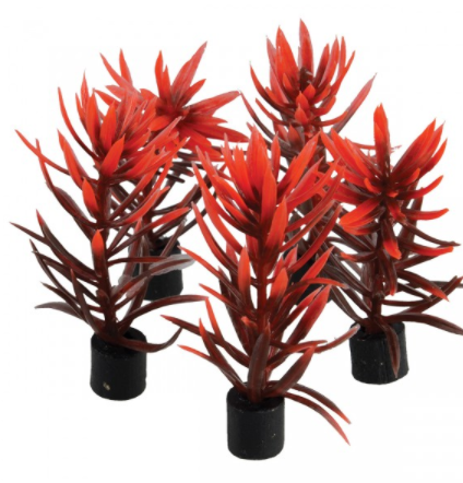 Underwater Treasures Mini Plant - Red and Brown - 3