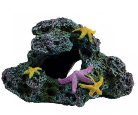 Underwater Treasures Reef Starfish Cave