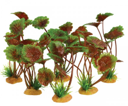 Underwater Treasures 4 Grounder Purple Cardamine - 3.5