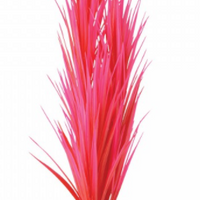 Underwater Treasures Rose Nile Grass - 14.25"