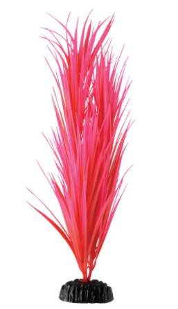 Underwater Treasures Rose Nile Grass - 14.25