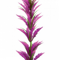 Underwater Treasures Pink Saber Sword - 15.5"