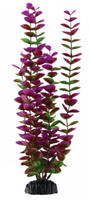 Underwater Treasures Plum Bacopa - 14.5"