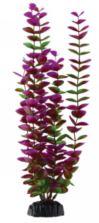 Underwater Treasures Plum Bacopa - 14.5