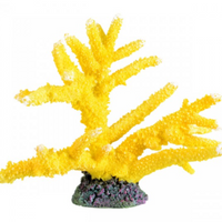 Underwater Treasures Branch Coral - Sun