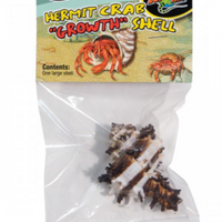 Zoo Med Hermit Crab "Growth" Shell - Large - 1 pk