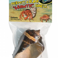 Zoo Med Hermit Crab "Growth" Shell - X-Large - 1 pk